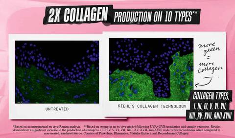 2X Collagen Production on 10 Types