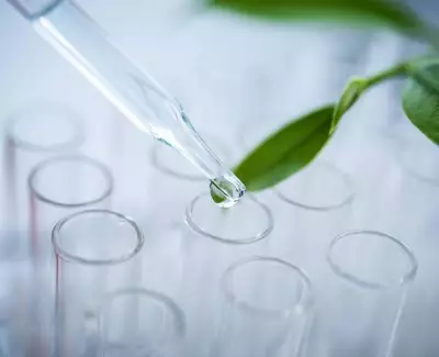 A dropper with a liquid droplet is poised above a row of clear test tubes, with a green leaf in the background.