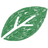 Groene, stilistische bladillustratie met een eenvoudig ontwerp en een doorkleur in het midden.