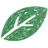 Groene, stilistische bladillustratie met een eenvoudig ontwerp en een doorkleur in het midden.