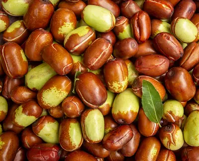 A close-up view of a variety of jujube fruits, showcasing a mix of brown and green colors, with some fruits showing a shiny surface and a single green leaf among them.