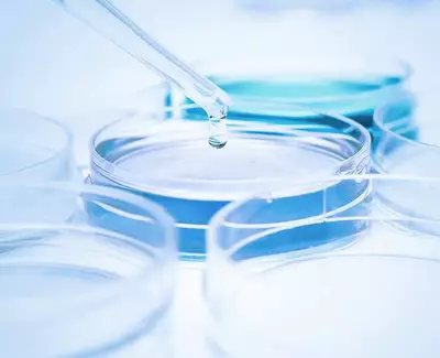 A close-up of a pipette dripping liquid into a petri dish, surrounded by several other petri dishes filled with colorful solutions. The background is light and slightly blurred, creating a focused impression on the pipette and dishes.
