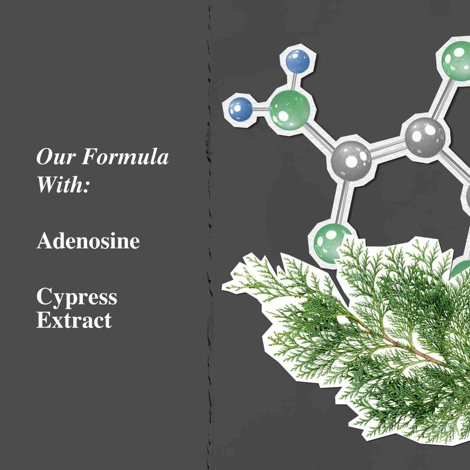Grafiek van de belangrijkste ingredienten: adenosine en cipresextract.