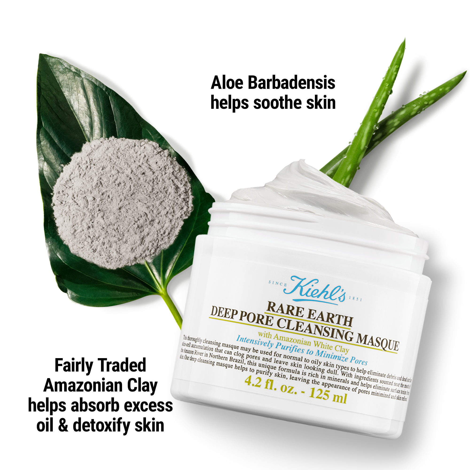 Limited Edition Rare Earth Deep Pore Cleansing Mask - Masque pour le visage
