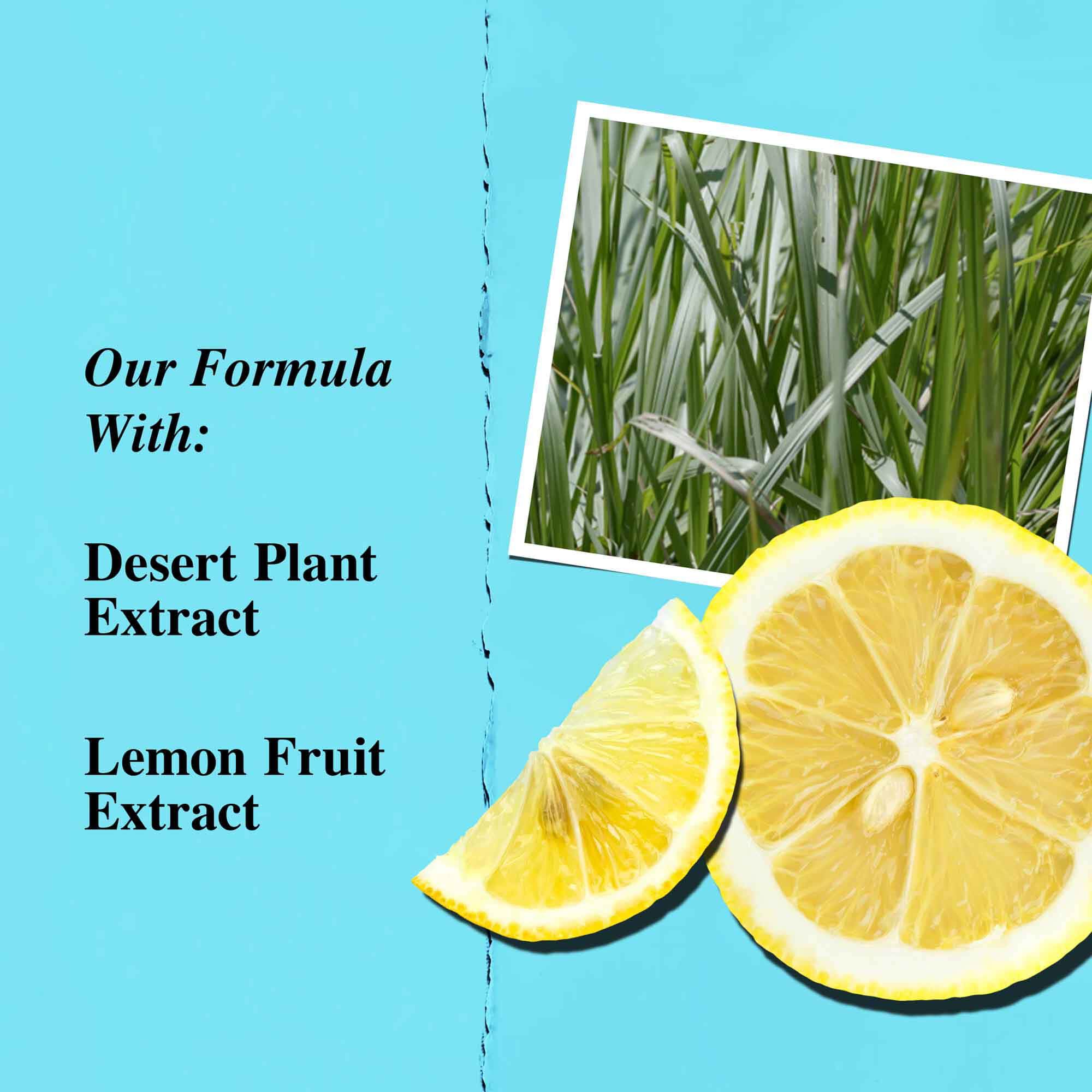 Graphique des ingredients cles mettant en avant l'extrait de plante du desert et l'extrait de citron.