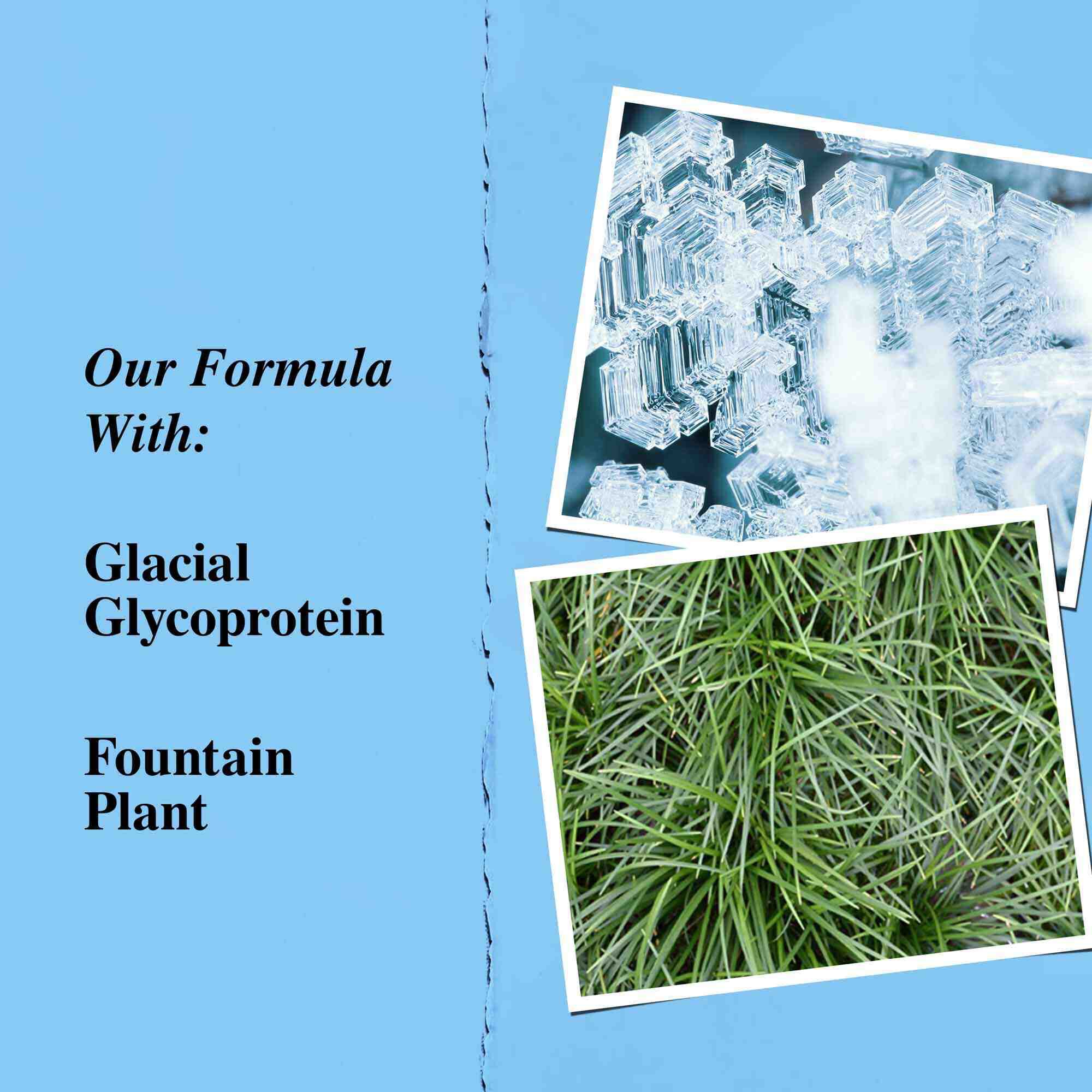 Graphique des ingredients cles mettant en avant la glycoproteine glaciale et la plante fontaine (Ophiopogon japonicus).