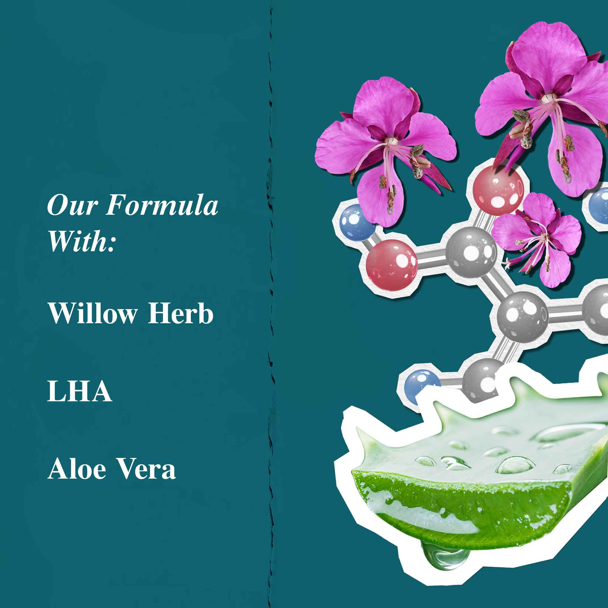 Graphique des ingredients pour la Close Shavers Squadron Smooth Glider Precision Shave Lotion, mettant en avant l'epilobe et l'aloe vera.