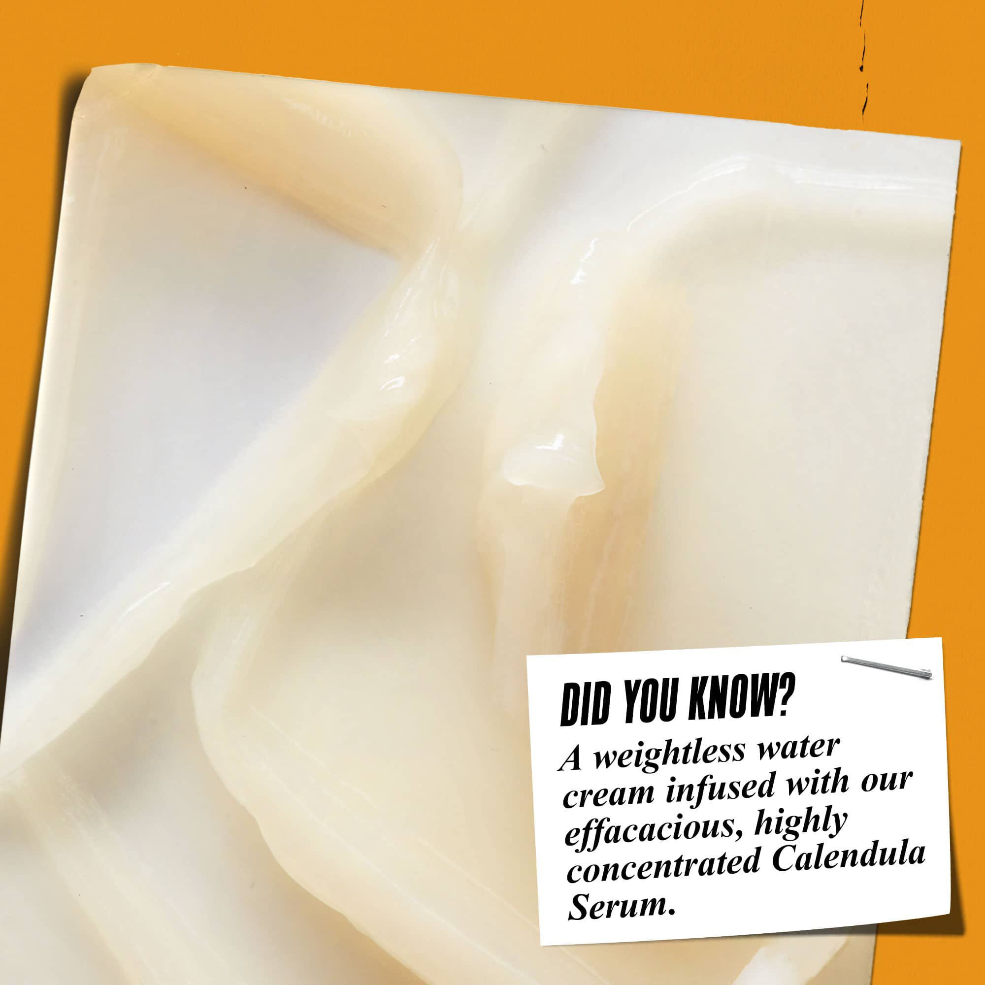 Calendula Serum-Infused Water Cream - Creme hydratante pour le visage