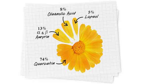 Ingrédients Super Multi-Corrective Cream