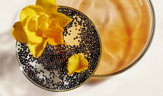 Ingrédients Ferulic Brew Rejuvenating Facial Essence